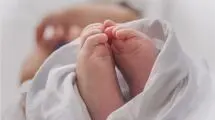 خانواده من 35 نفره است