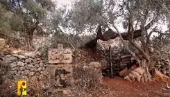 آژیر خطر حمله پهپادی در شمال فلسطین اشغالی/ ضربات مهلک مقاومت به اشغالگران ادامه دارد