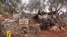 آژیر خطر حمله پهپادی در شمال فلسطین اشغالی/ ضربات مهلک مقاومت به اشغالگران ادامه دارد