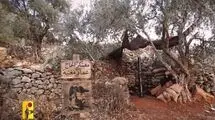 آژیر خطر حمله پهپادی در شمال فلسطین اشغالی/ ضربات مهلک مقاومت به اشغالگران ادامه دارد
