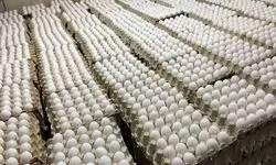 اعلام قیمت تخم‌مرغ؛ هر شانه ۳۰۰ تا ۳۴۰ هزارتومان