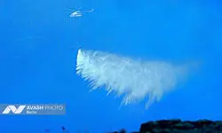 تشویق جانانه خلبان هلی کوپتر ترکیه در خاموش کردن آتش سوزی جنگل کلاردشت