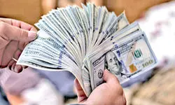 ارز ۲۸۵۰۰ تومانی به کدام کالاها تعلق گرفت؟