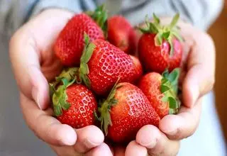 توت فرنگی را چگونه فریز کنیم ؟ 