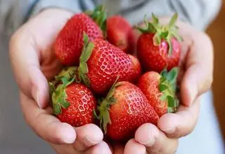 توت فرنگی را چگونه فریز کنیم ؟ 