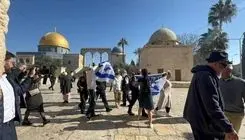 ۸ کشور عربی و اسلامی یورش شهرک‌نشینان به مسجدالاقصی را محکوم کردند