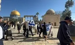 ۸ کشور عربی و اسلامی یورش شهرک‌نشینان به مسجدالاقصی را محکوم کردند