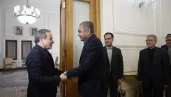 دیدار وزیر کشور پاکستان با عراقچی