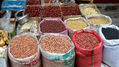 نوسان‌گیری با لوبیا