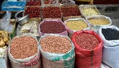 نخود و لوبیا دوباره اوج گرفت+ قیمت جدید