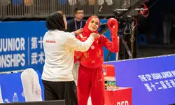 موچانی هم ایران را صاحب مدال طلا کرد