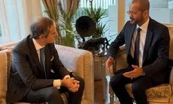 دیدار وزیر خارجه عمان با گروسی