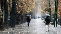 باران هوای تهران را مطلوب کرد