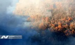 آتش سوزی ۲ هکتار از جنگل‌های گیلان