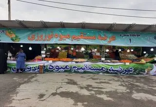جزییات عرضه گسترده میوه شب عید اعلام شد