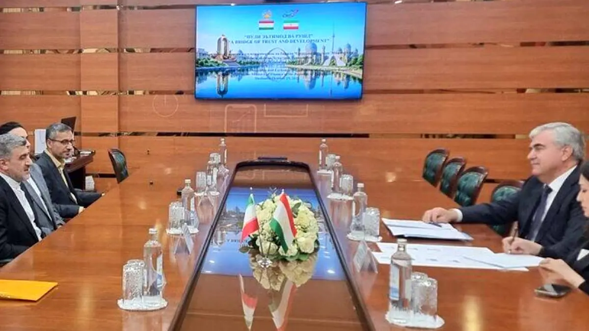 توسعه همکاریهای مشترک در حوزه بازار سرمایه میان ایران و تاجیکستان