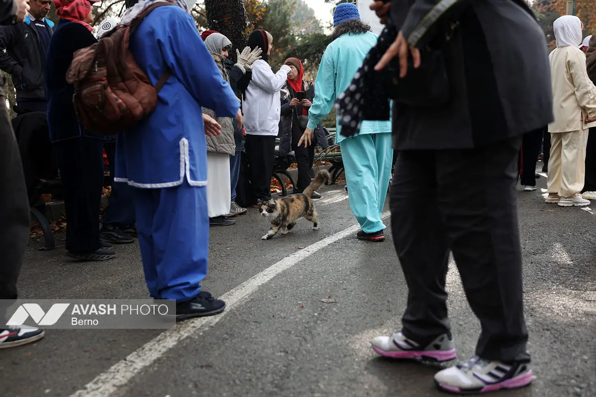 همايش بايبزى تاكج