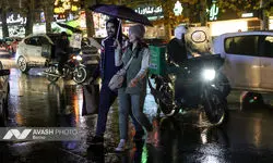 بارش باران صبحگاهی در تهران