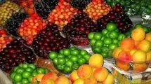 در عرضه هیچ یک از اقلام میوه و صیفی کمبود وجود ندارد