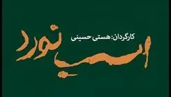 «اسب نَورد» مهمان جدید تالار قشقایی مجموعه تئاترشهر 