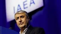 ادعای وزارت خارجه اتریش درباره عدم صدور ویزا برای رئیس سازمان انرژی اتمی ایران