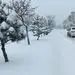 بارش ۱۲ سانتی‌متری برف بهاری در این منطقه