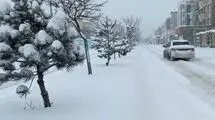 این استان ها منتظر بارش برف باشند 