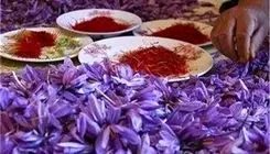 رشد ۷۰ درصدی صادارت زعفران تا پایان آذرماه
