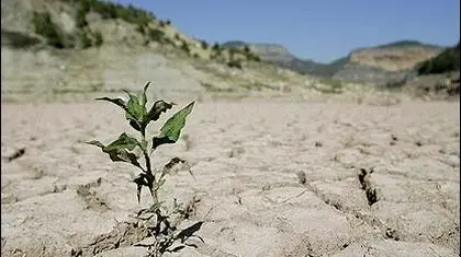 حقیقت پنهان سدهای ایران/ باران بهاری هم به داد خشکسالی نرسید