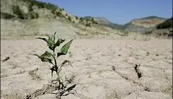 حقیقت پنهان سدهای ایران/ باران بهاری هم به داد خشکسالی نرسید
