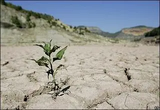 حقیقت پنهان سدهای ایران/ باران بهاری هم به داد خشکسالی نرسید