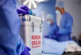 مرگ روزانه ۸ «چشم‌انتظار» پیوند عضو