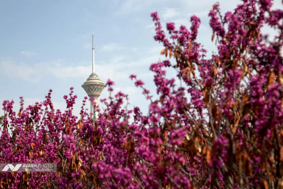 روز طبیعت در تهران
