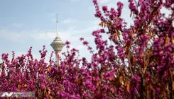 اداره کل هواشناسی استان تهران یک اطلاعیه صادر کرد