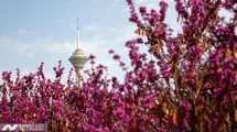 اداره کل هواشناسی استان تهران یک اطلاعیه صادر کرد