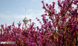 اداره کل هواشناسی استان تهران یک اطلاعیه صادر کرد
