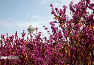 اداره کل هواشناسی استان تهران یک اطلاعیه صادر کرد