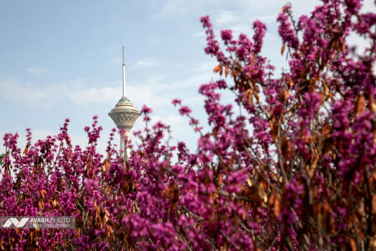 روز طبیعت در تهران