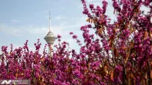 اداره کل هواشناسی استان تهران یک اطلاعیه صادر کرد