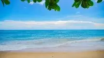 چرا دریا آرامبخش است؟