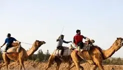 علیرضا پسندیده: منتظر تصمیم وزارت ورزش و کمیته ملی المپیک هستیم