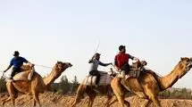 علیرضا پسندیده: منتظر تصمیم وزارت ورزش و کمیته ملی المپیک هستیم