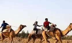 علیرضا پسندیده: منتظر تصمیم وزارت ورزش و کمیته ملی المپیک هستیم