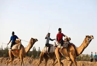 علیرضا پسندیده: منتظر تصمیم وزارت ورزش و کمیته ملی المپیک هستیم