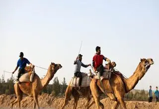 علیرضا پسندیده: منتظر تصمیم وزارت ورزش و کمیته ملی المپیک هستیم