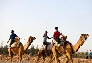 علیرضا پسندیده: منتظر تصمیم وزارت ورزش و کمیته ملی المپیک هستیم