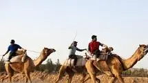 علیرضا پسندیده: منتظر تصمیم وزارت ورزش و کمیته ملی المپیک هستیم