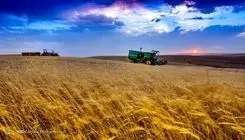 کمبودی در تامین آرد نان وجود ندارد