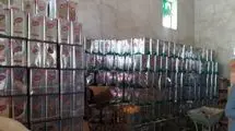 اخلال در بازار روغن/ کشف ۷۵۴ حلب روغن به ارزش بیش از یک میلیارد تومان