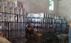 اخلال در بازار روغن/ کشف ۷۵۴ حلب روغن به ارزش بیش از یک میلیارد تومان